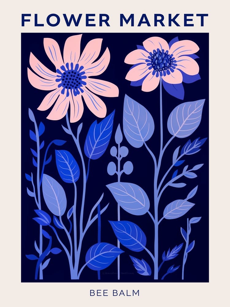 Blue Flower Market Poster Bee Balm 4