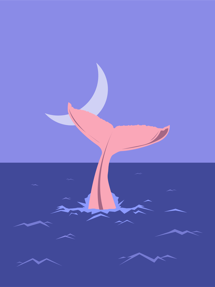 Whale Tail and moon 1