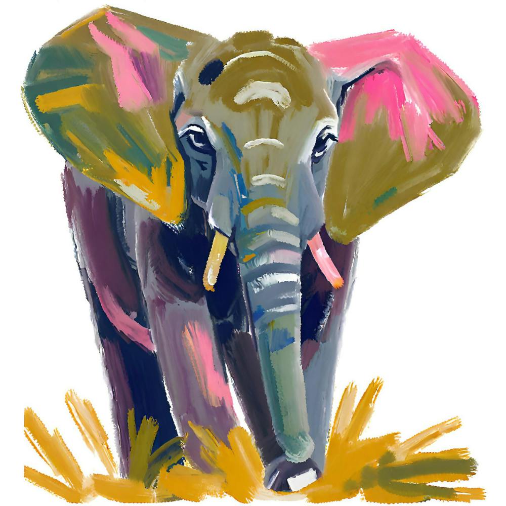 African Bush Elephant 02