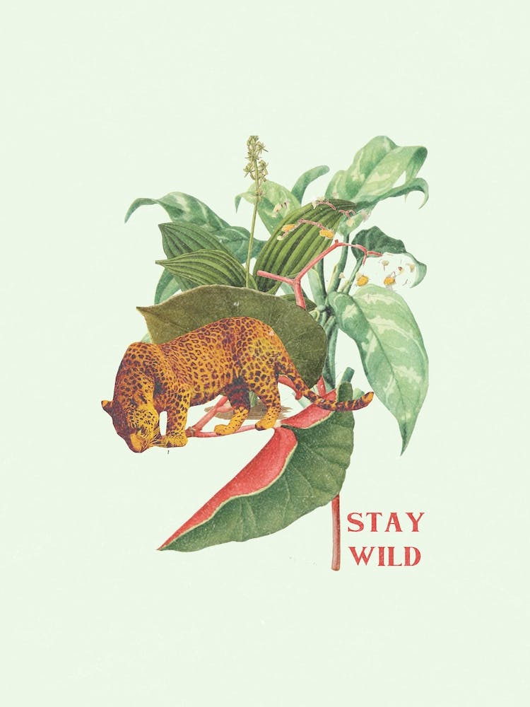 Bleib Wild