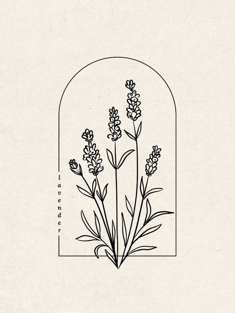 Lavender Flower