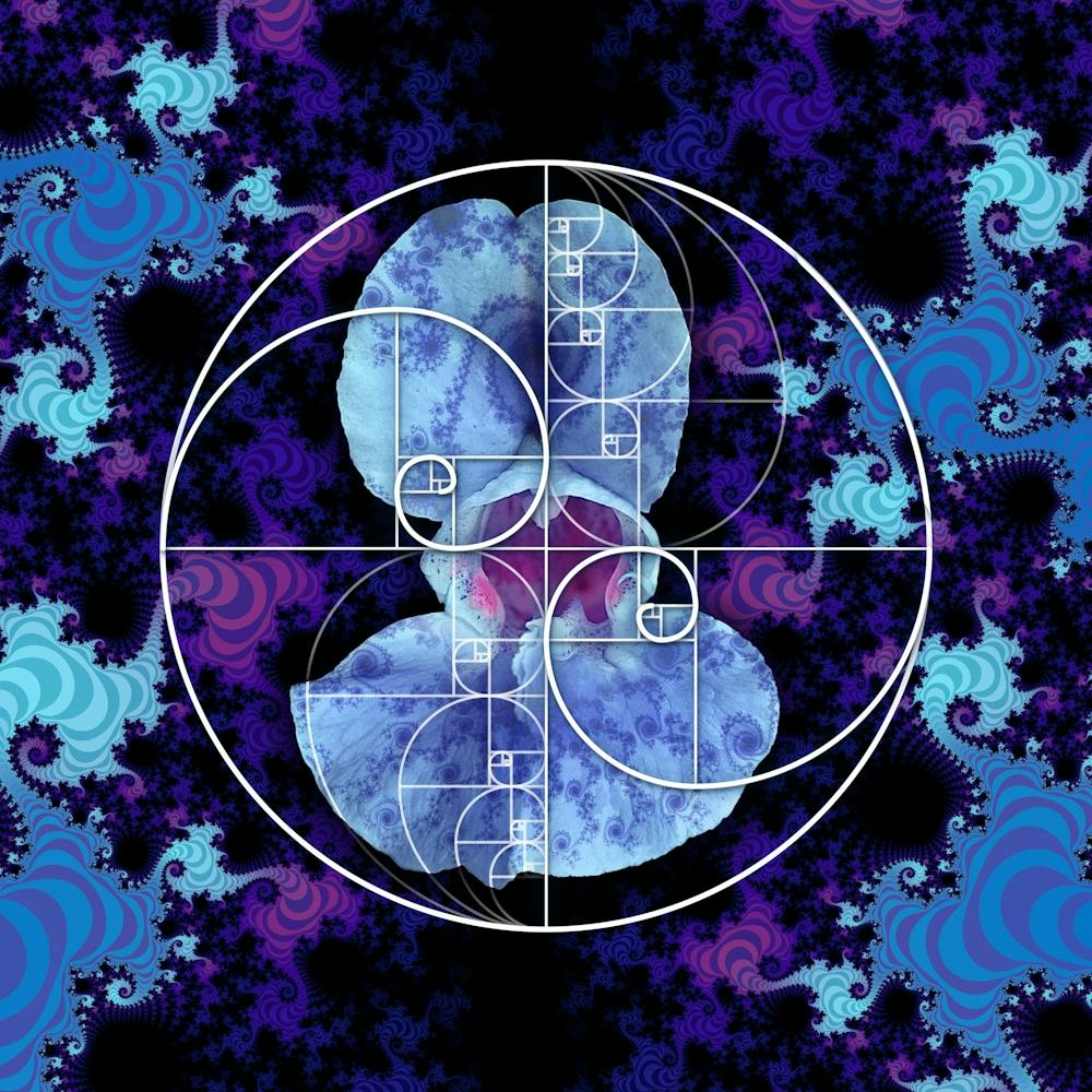 Sacred Geometry Fibonacci Spiral Flowers 2