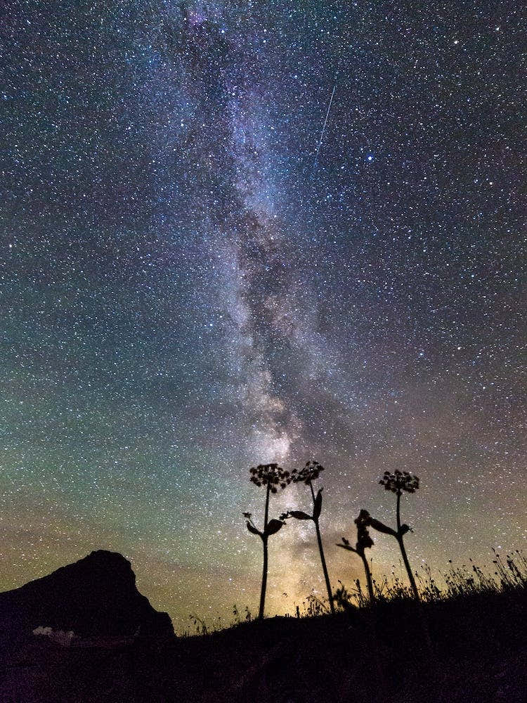 The Milky Way From Montana