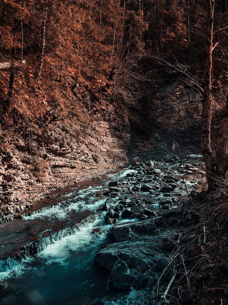 Idyllic River Through The Woods 3