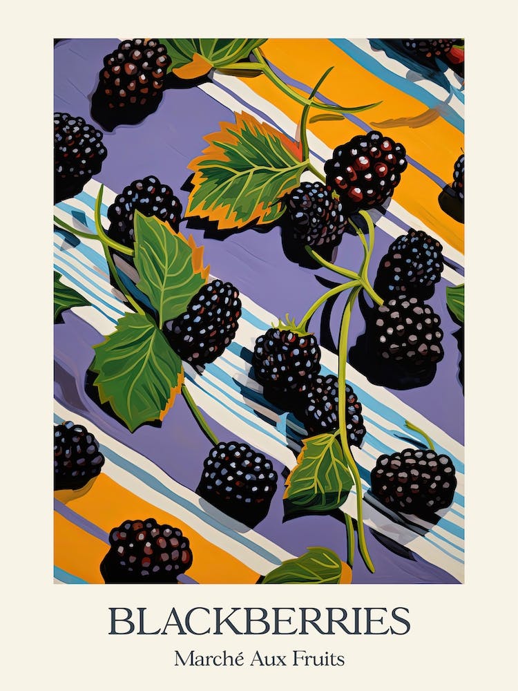 Marche Aux Fruits Blackberries Fruit Summer Illustration 3