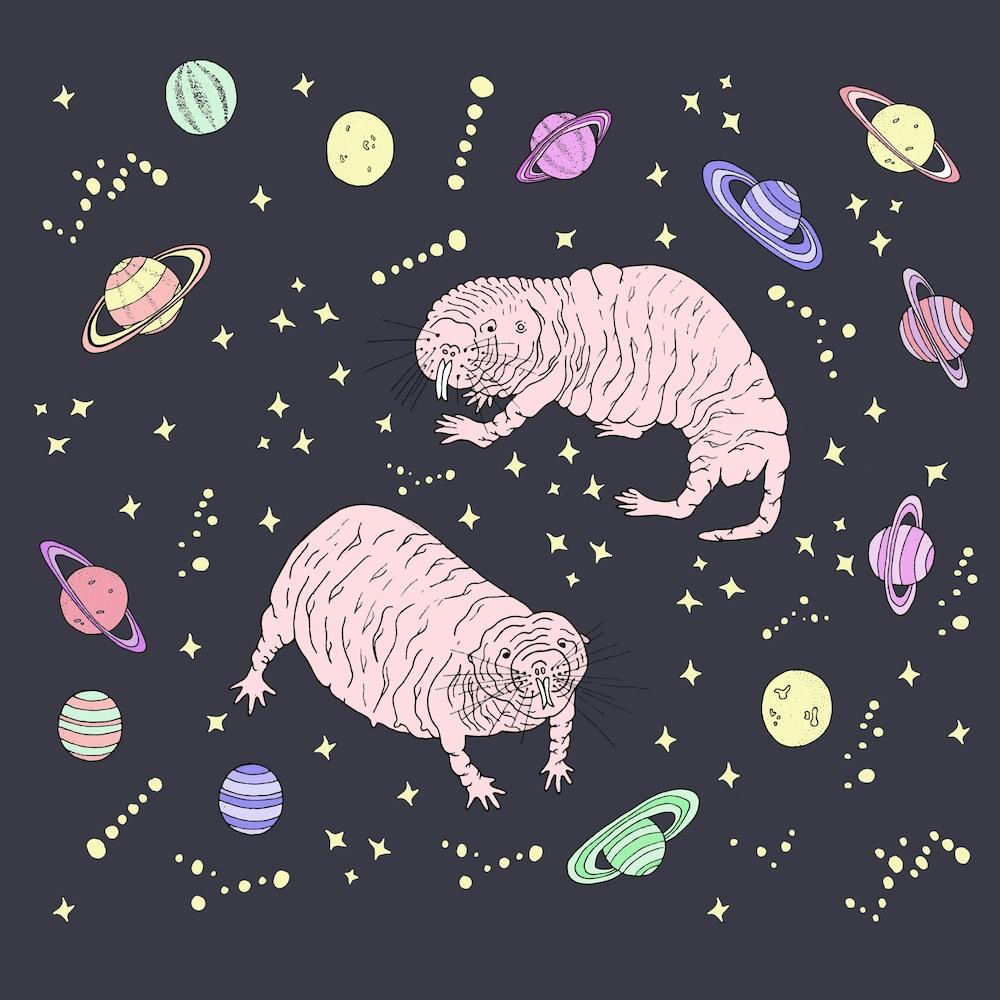 Space Rats