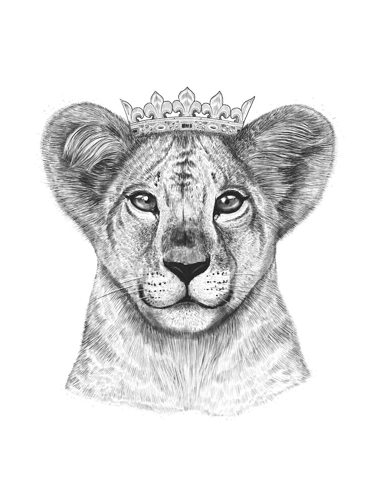 The Lion Princess