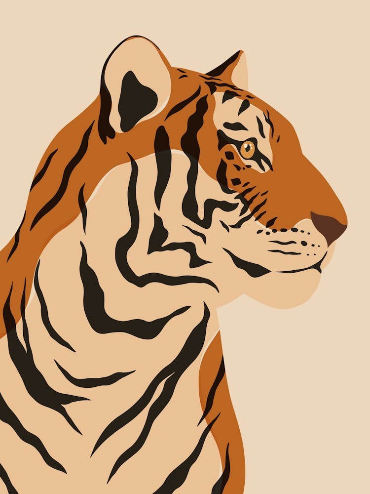 Jungle Safari Tiger on Cream