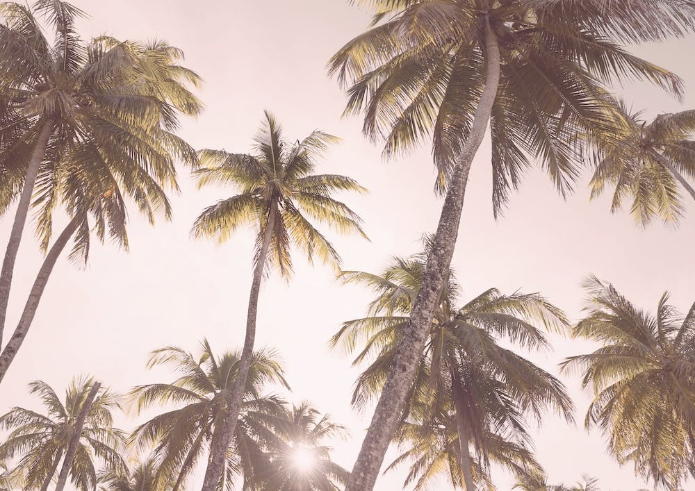 Blush Pink Sky Bedroom