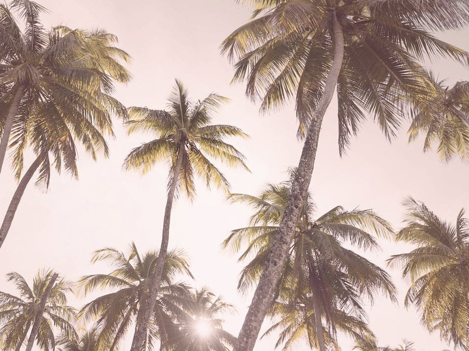 Blush Pink Sky Bedroom