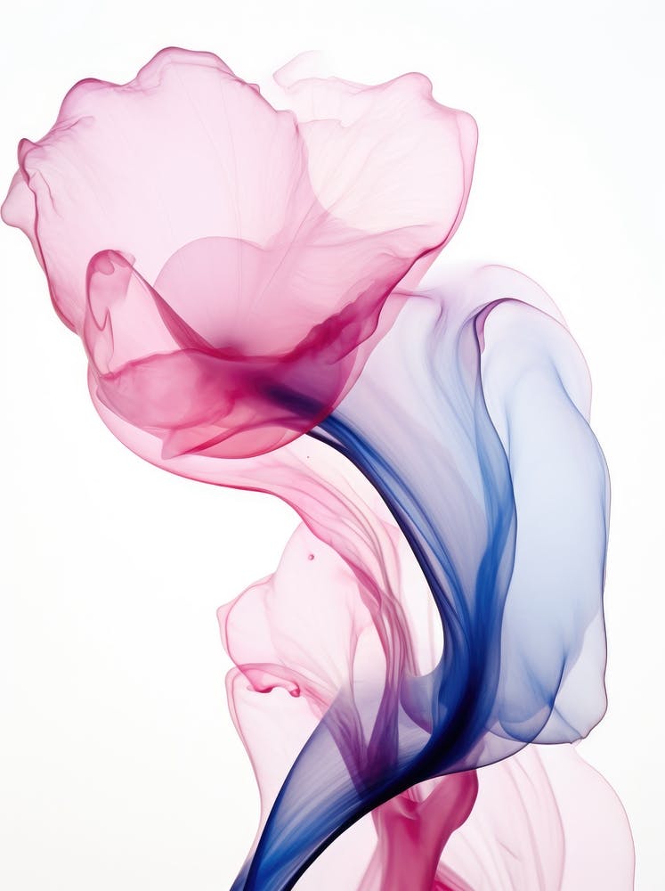 Pink And Blue Smoke