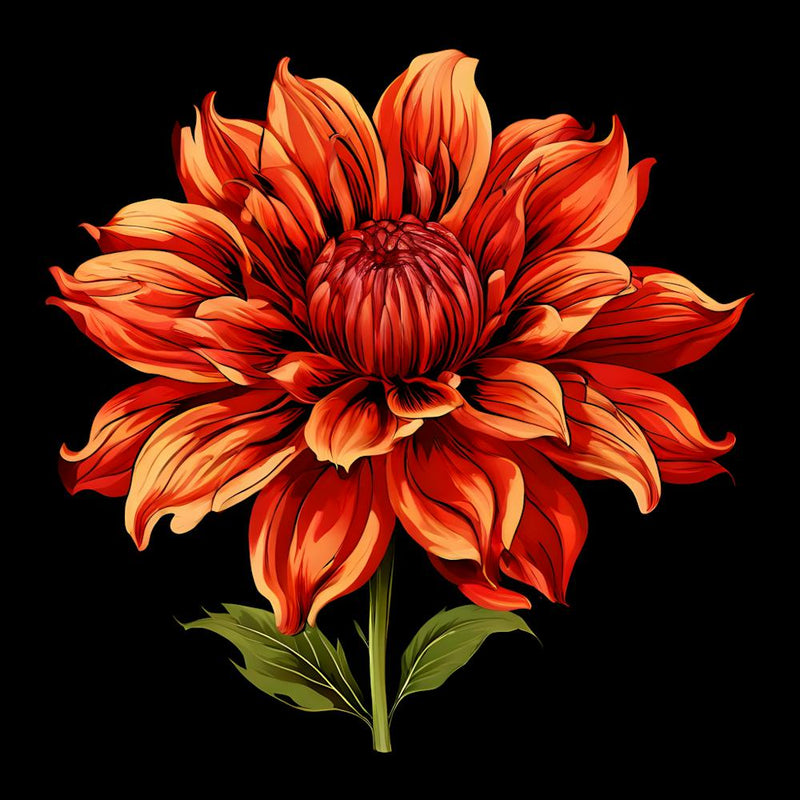 Dahlia 13