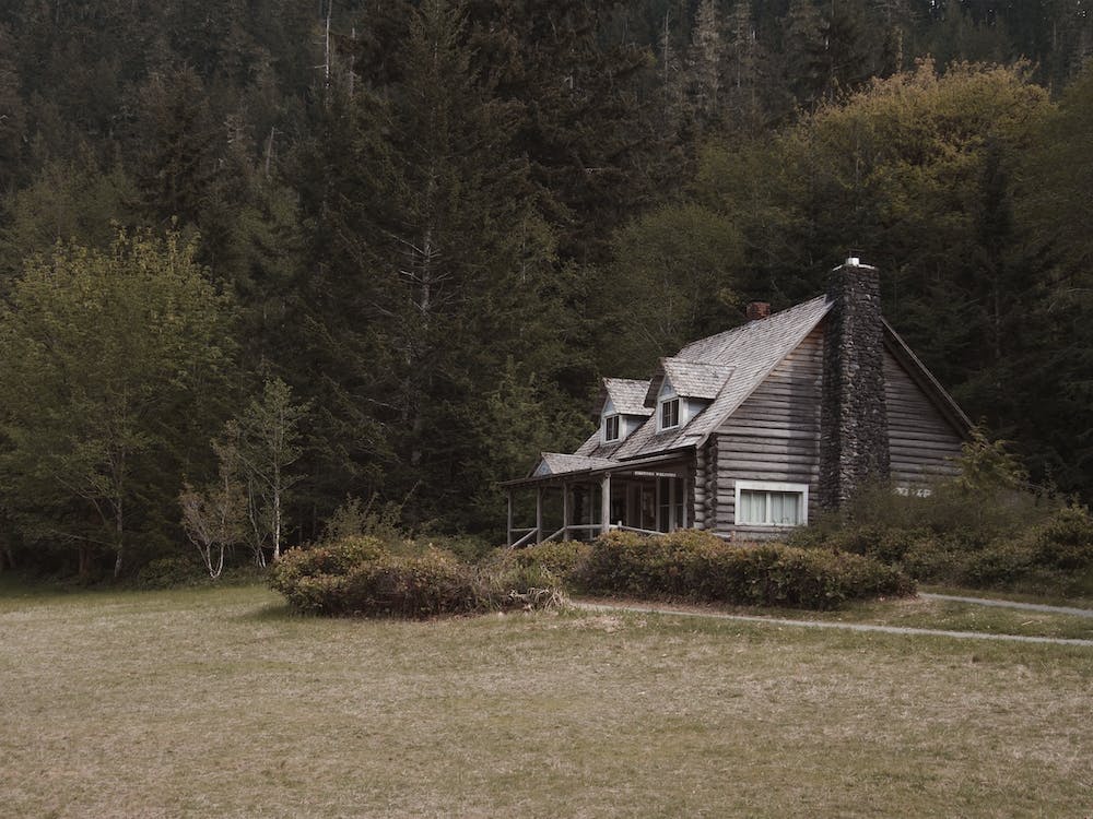 Rustic Forest Cabin