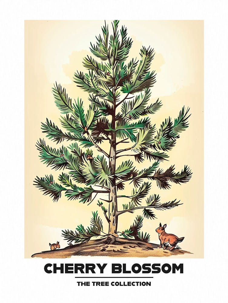 Cherry Blossom Tree Storybook Illustration 2 Poster