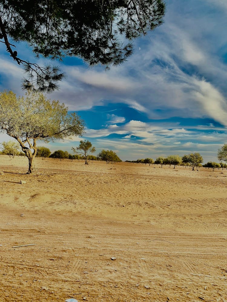 A beautiful and beautiful natural picture.