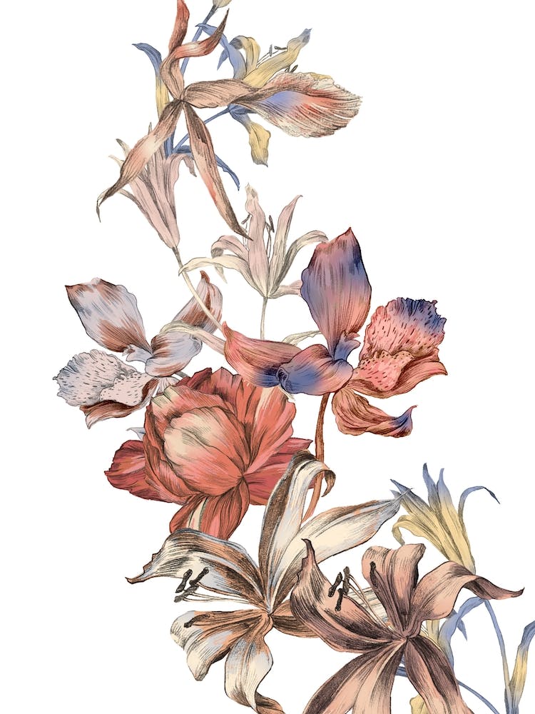 Orchid Bouquet
