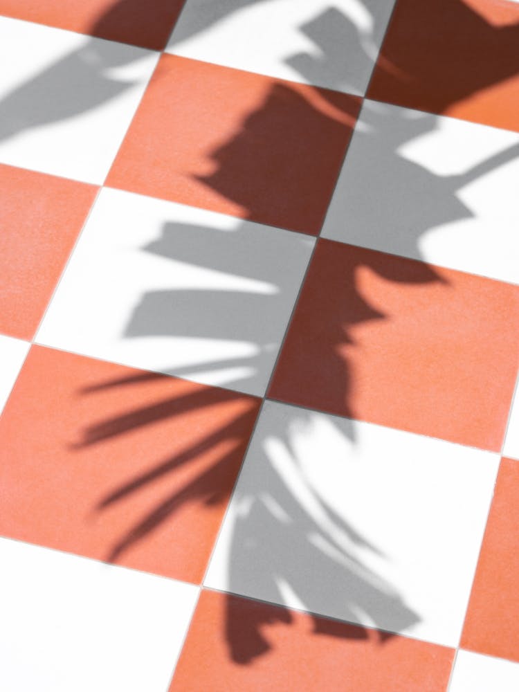 Red White Checkerboard Floor With Palmleaf Shadow Travel