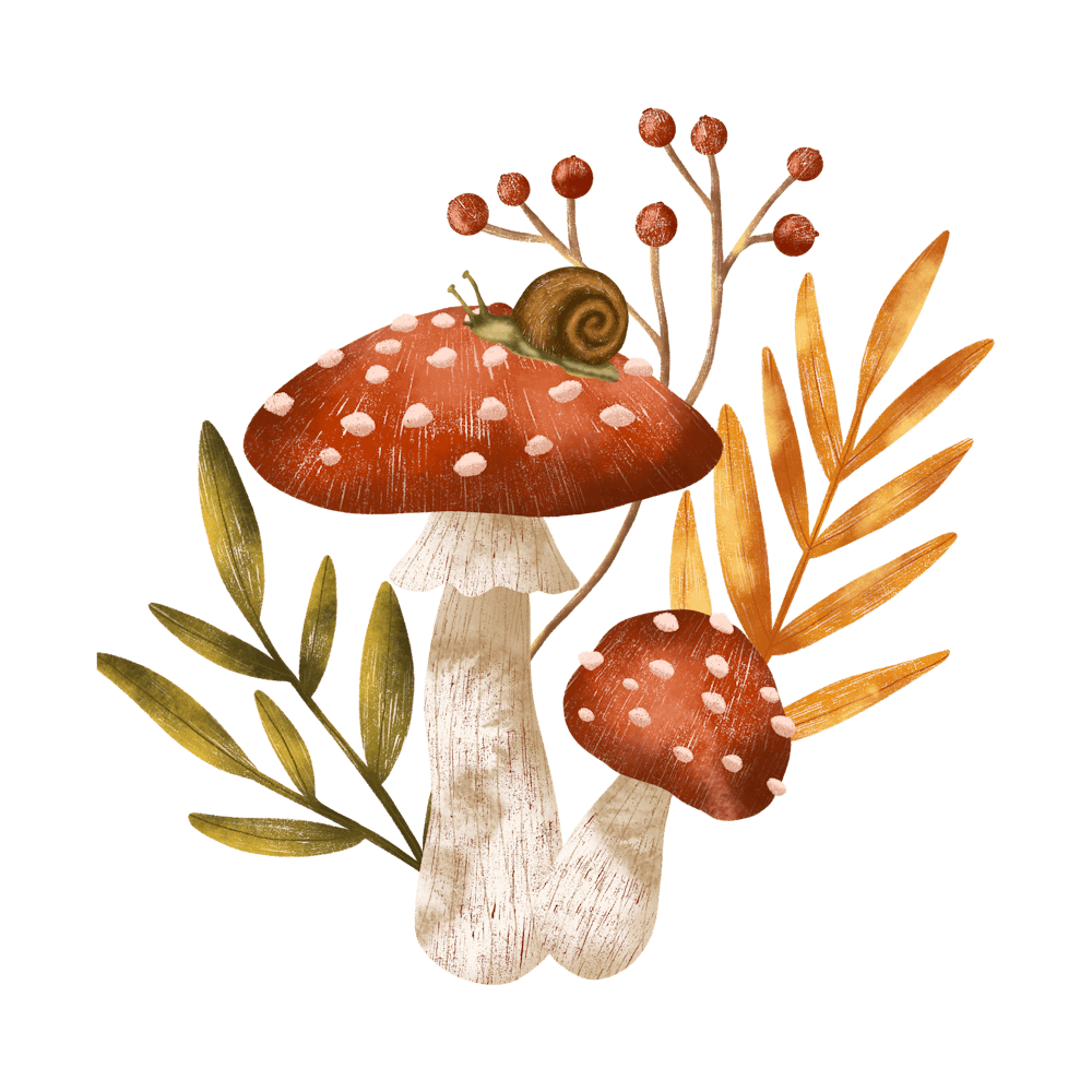Snail on mushroom