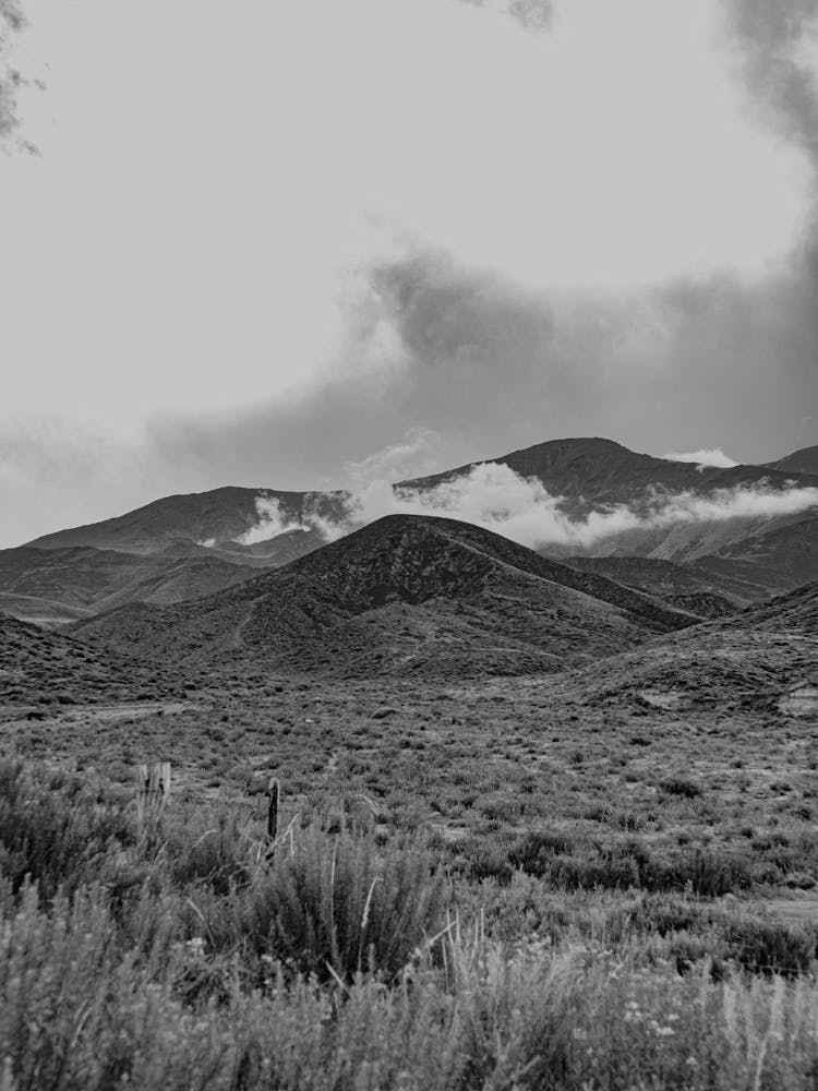 Black And White Mountain Landscape