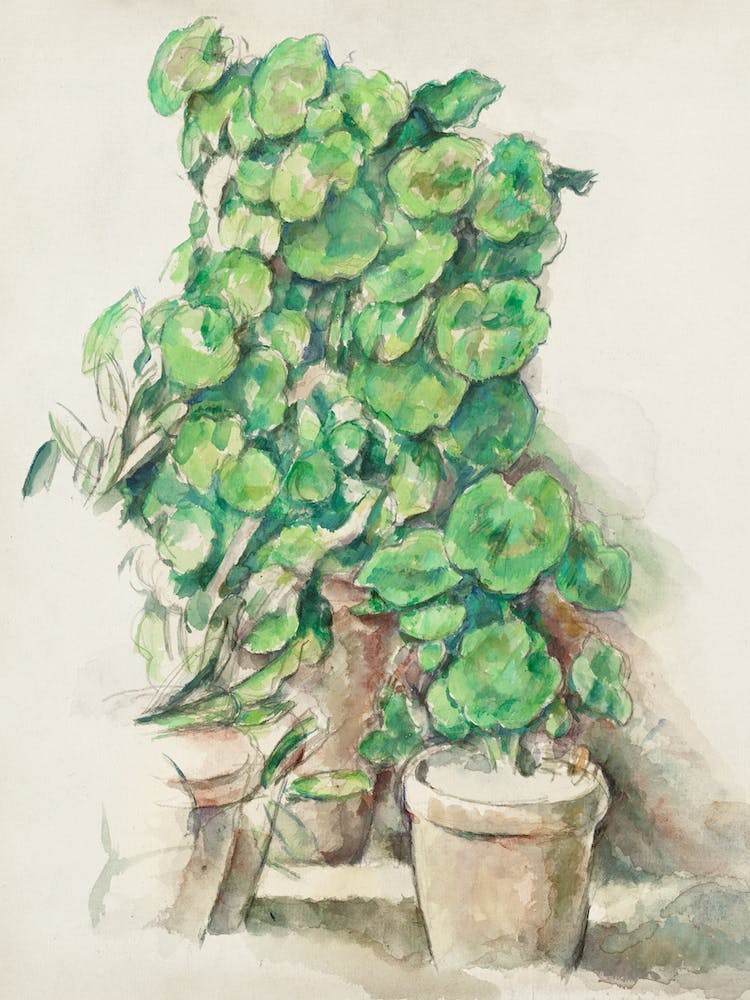 Geraniums, Paul Cézanne