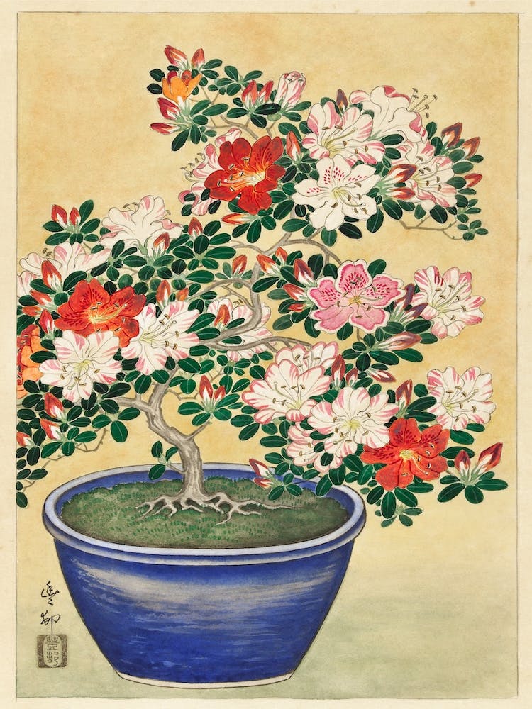 Blooming Azalea In Blue Pot, Ohara Koson