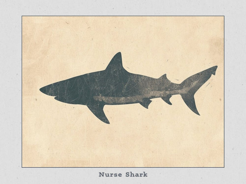 Nurse Shark Grey Silhouette 2 Poster