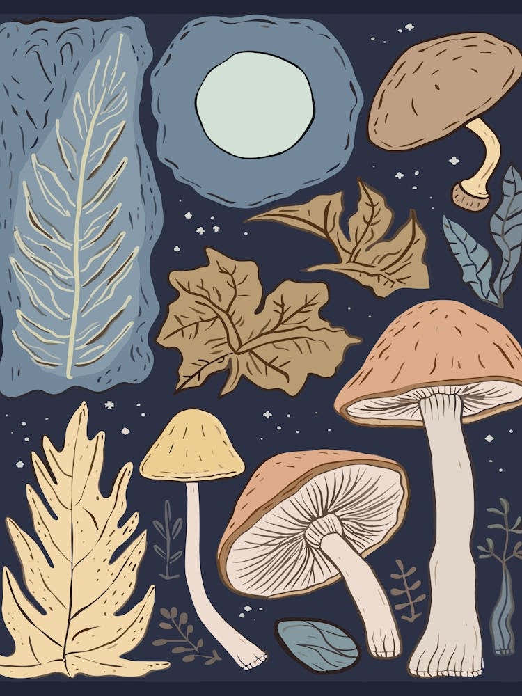 Magic Spring Mushrooms Illustration 3