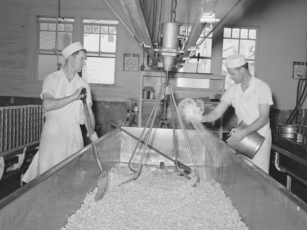Tillamook Cheese Plant, Tillamook County, Oregon, Salting The Curd In Process Of Making Cheese By Russell