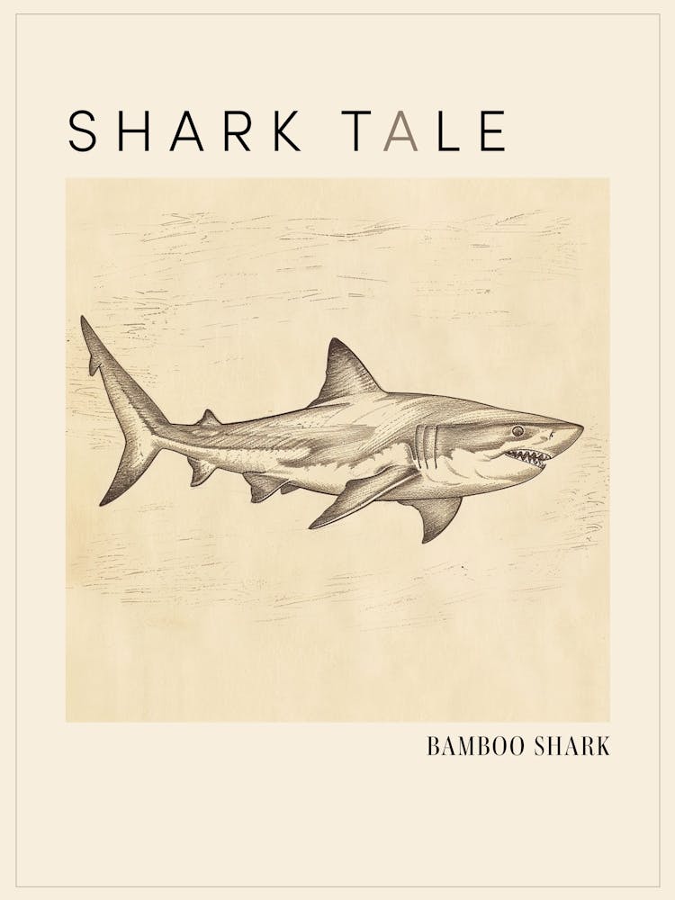 Bamboo Shark Vintage Illustration 2 Poster