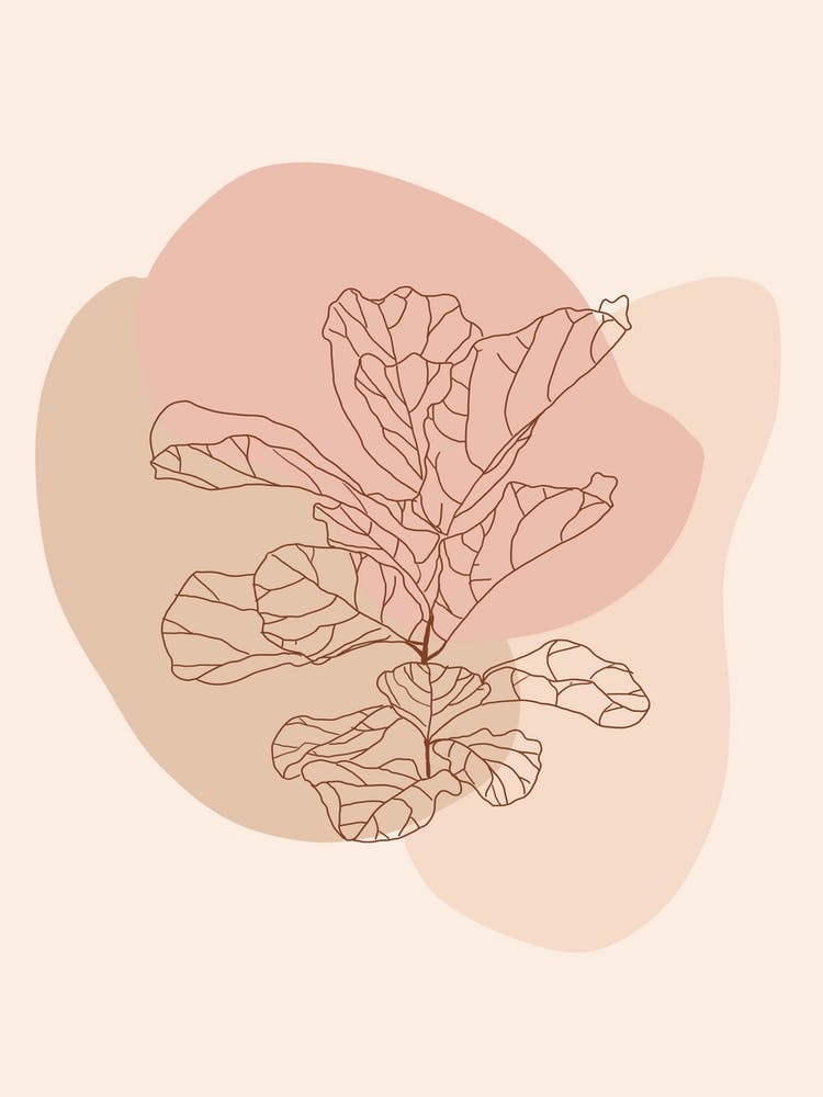 Modern Neutral Fiddle Leaf Fig