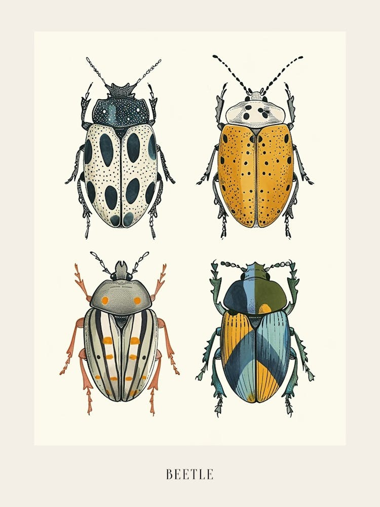 Colourful Insect Illustration Beetle 6 Poster