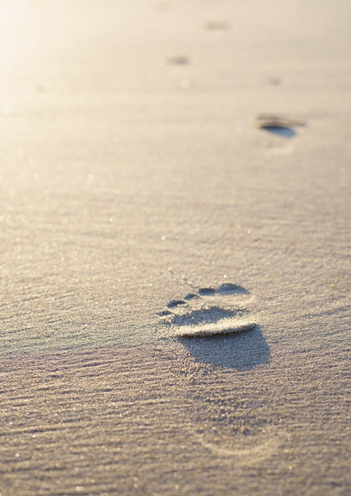 The Footprint In The Sand At The Beach