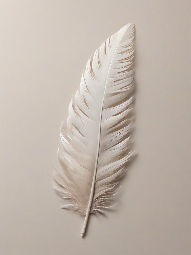 White Feather Wall Art