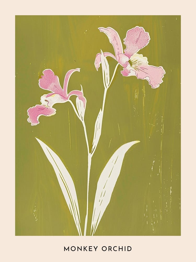 Pink & Green Monkey Orchid Flower Poster