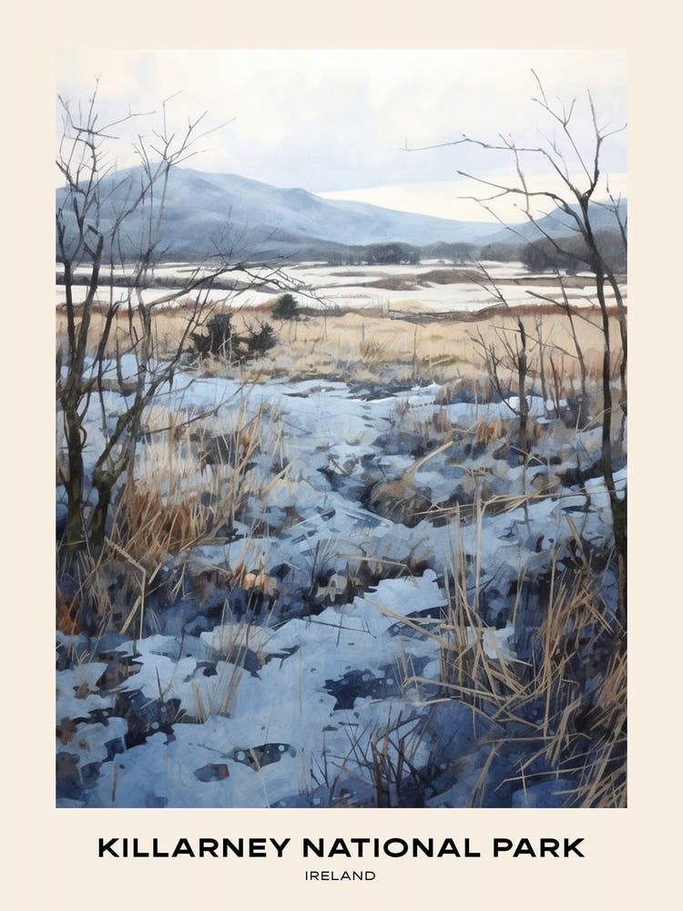 Killarney National Park Ireland 2 Poster