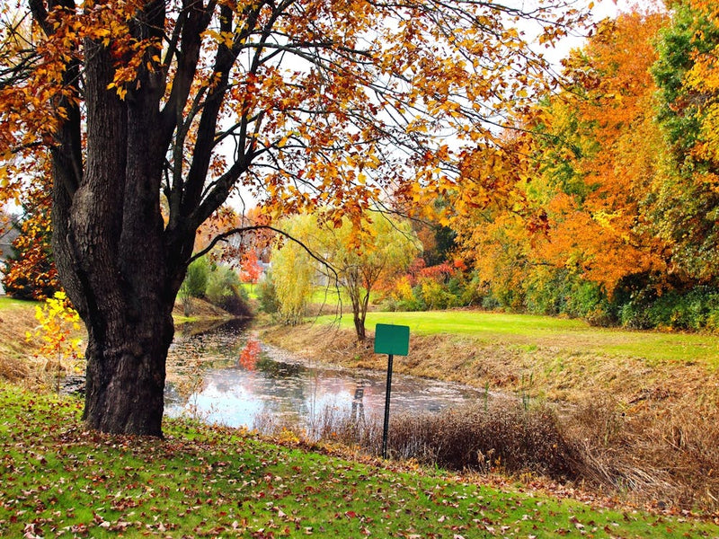 Autumn Scene 3