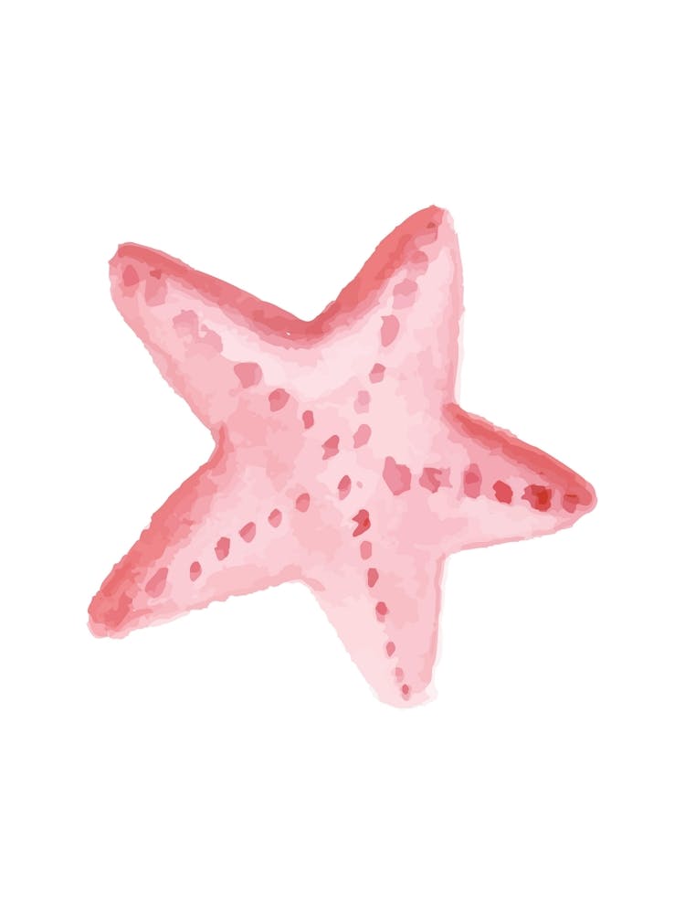 Pink Starfish