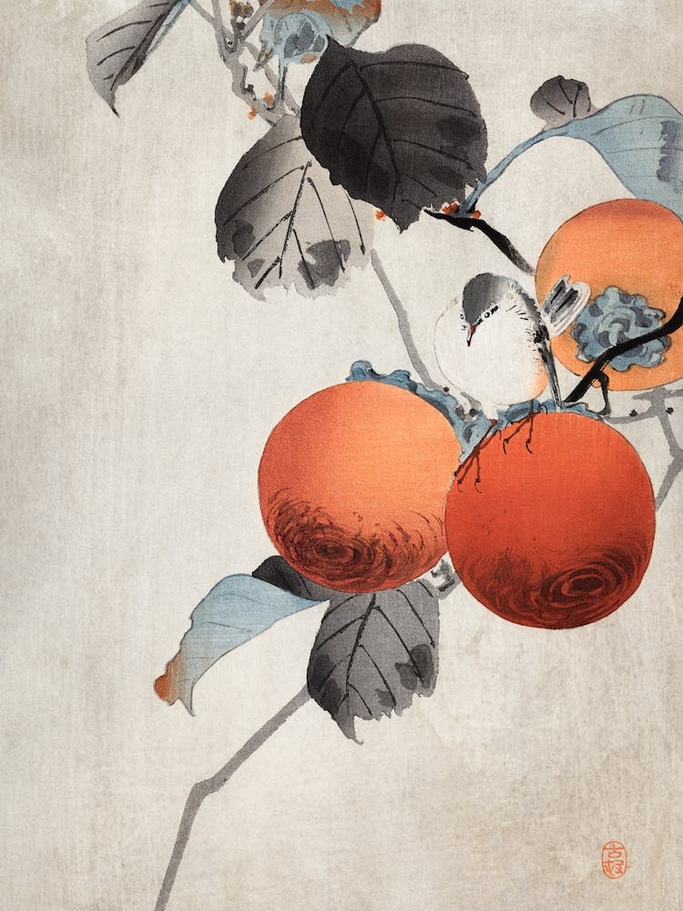 Nuthatcher Atop Persimmons, Ohara Koson