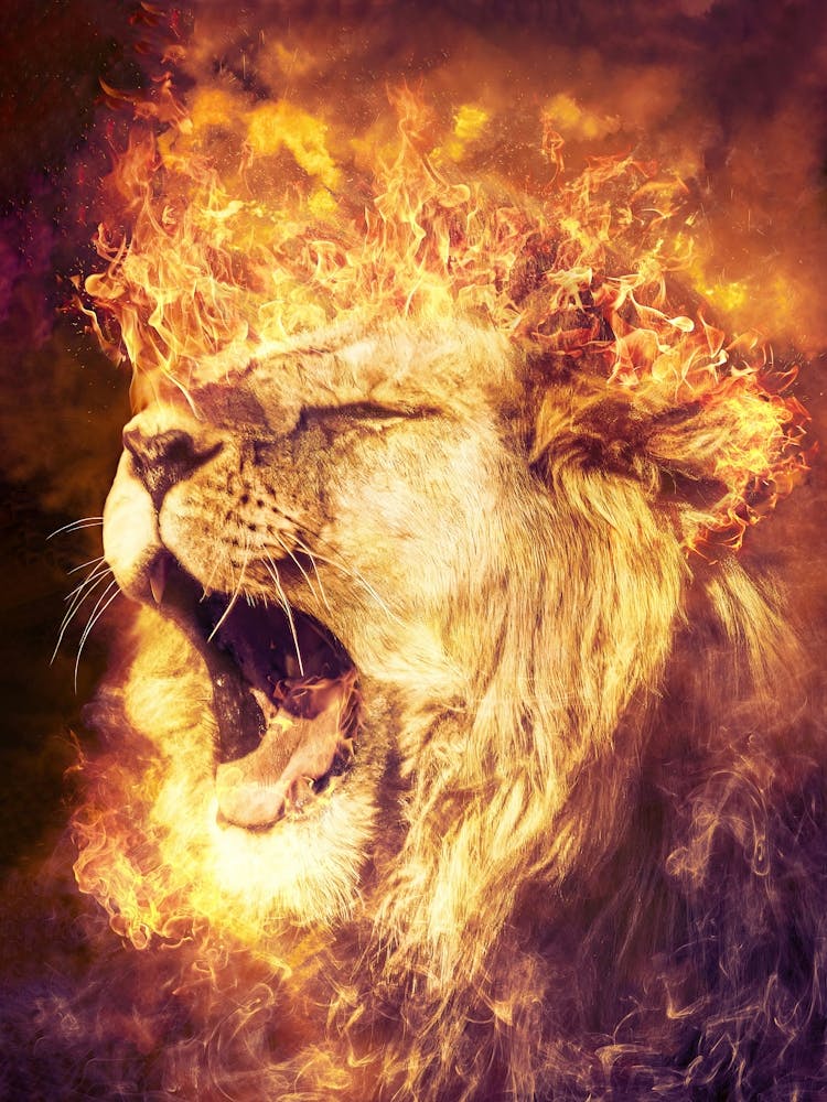 The Fiery Roaring Lion