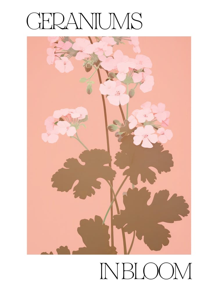 Blühende Geranien Blumen Kräftige Illustration 2