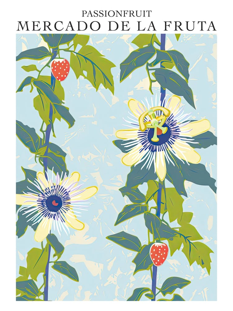 Mercado De La Fruta Passionfruit Illustration 2 Poster