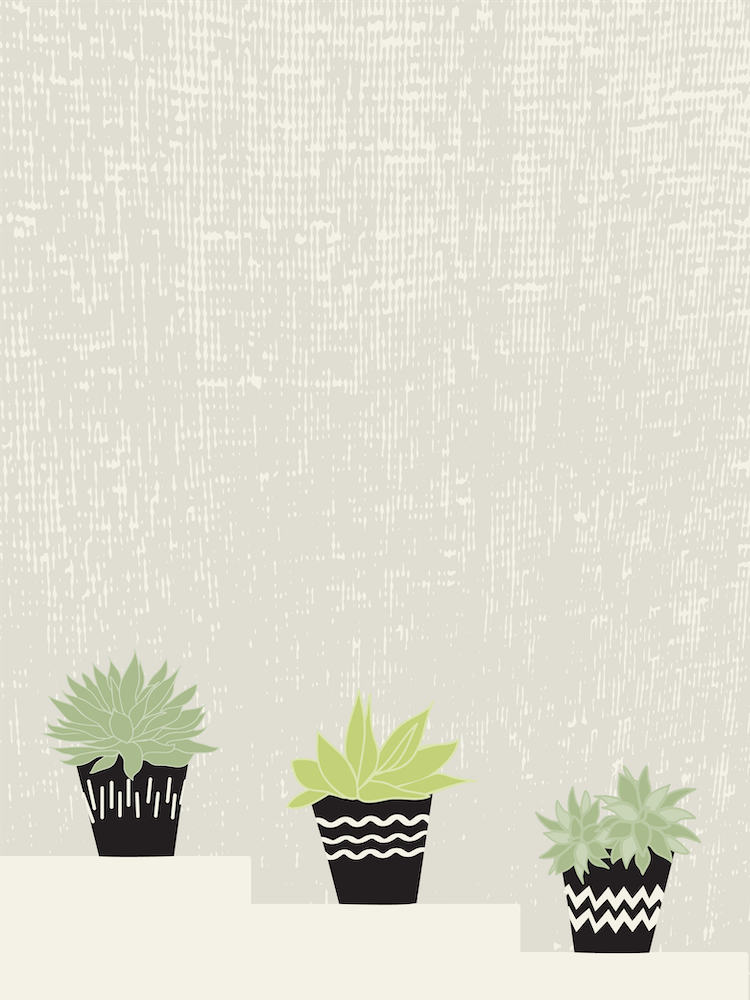 Three Succulents On Stairs