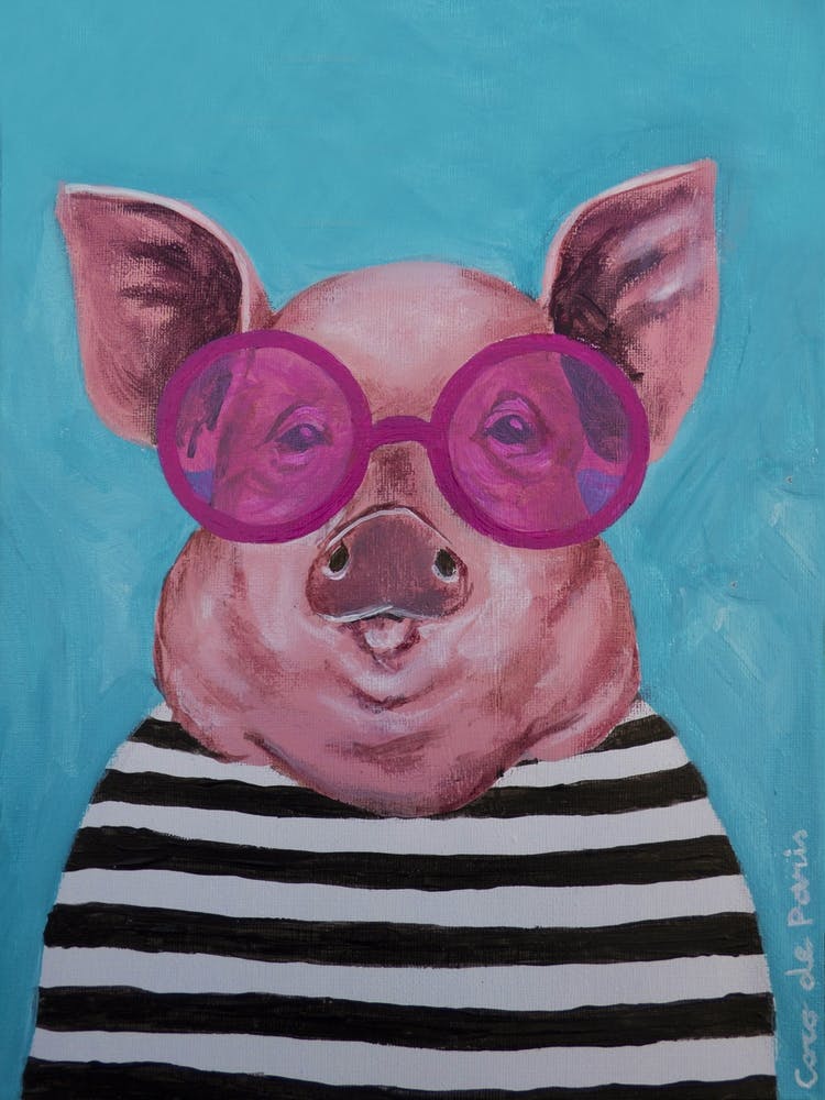 Stripy Pig