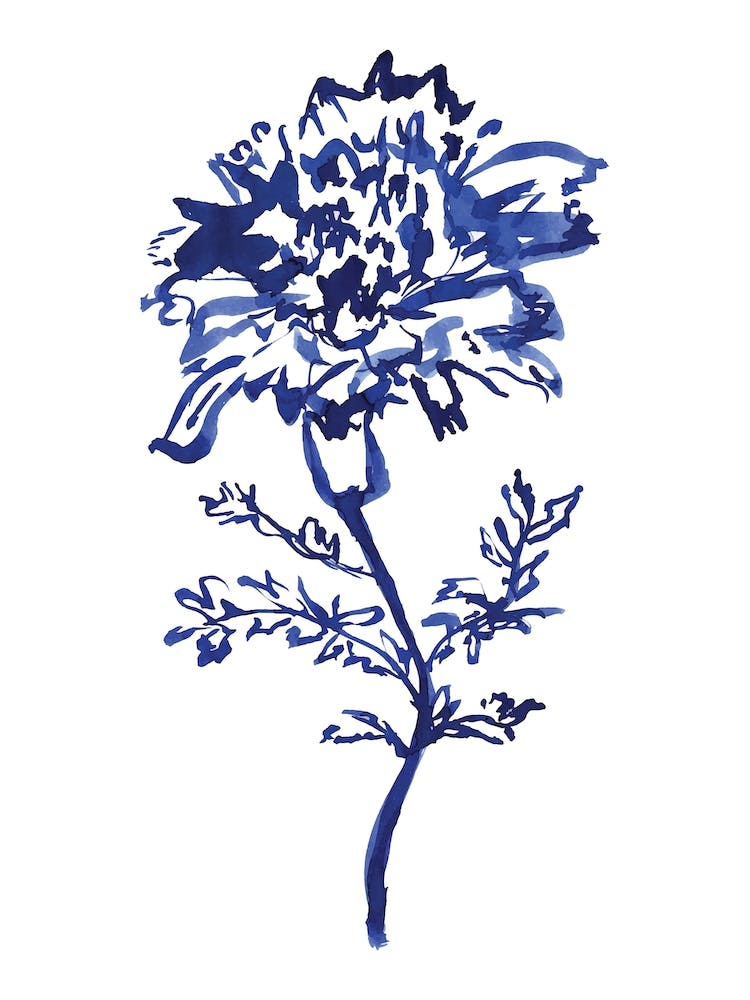Blue Flower
