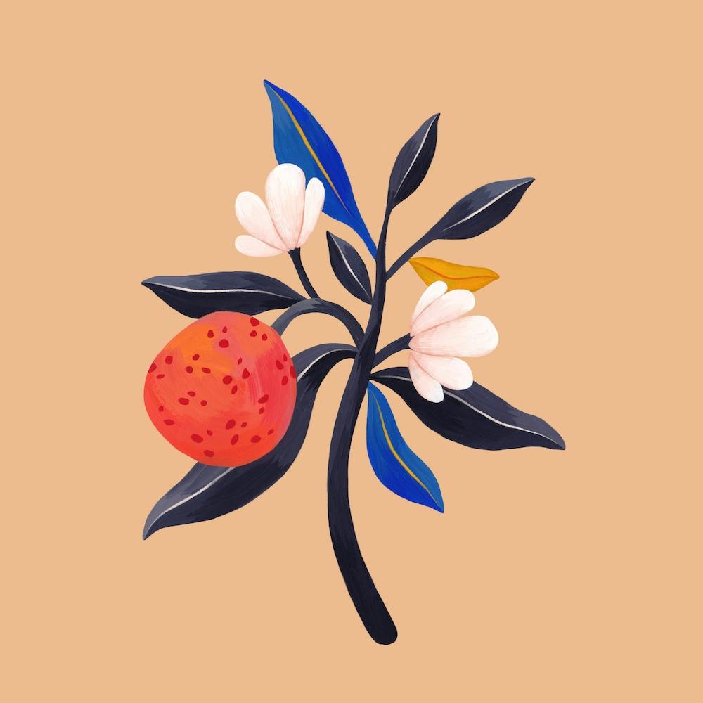 Orange Branch Square