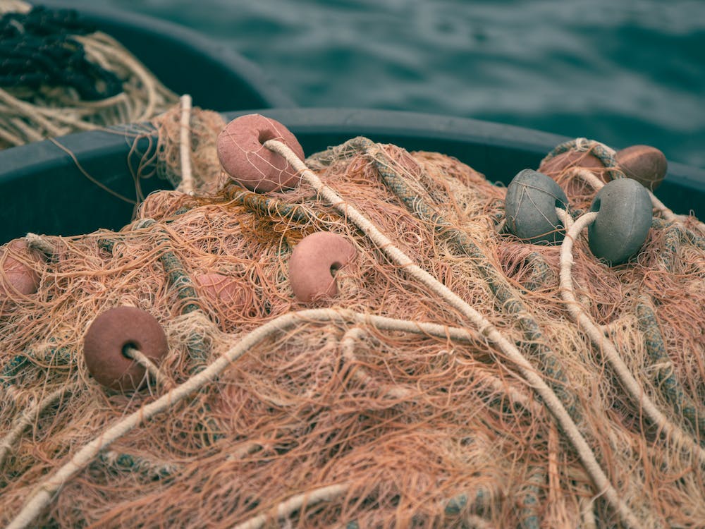 Fishing Nets