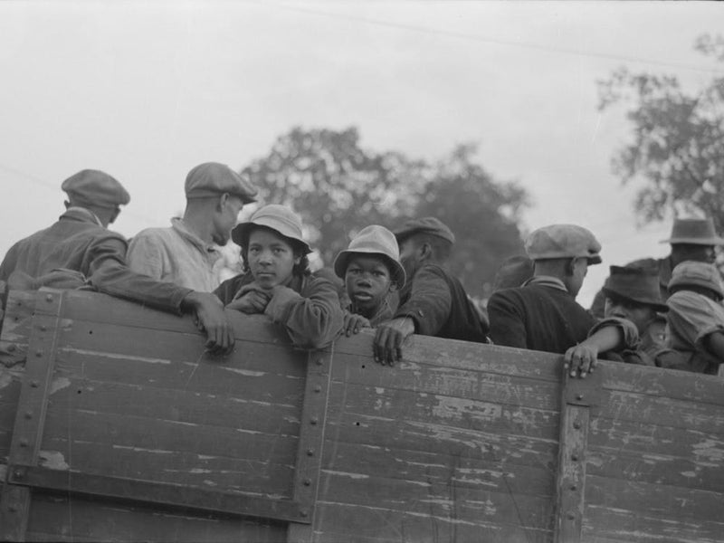 Cotton Pickers In Truck, Pine Bluff, Arkansas By Russell Lee