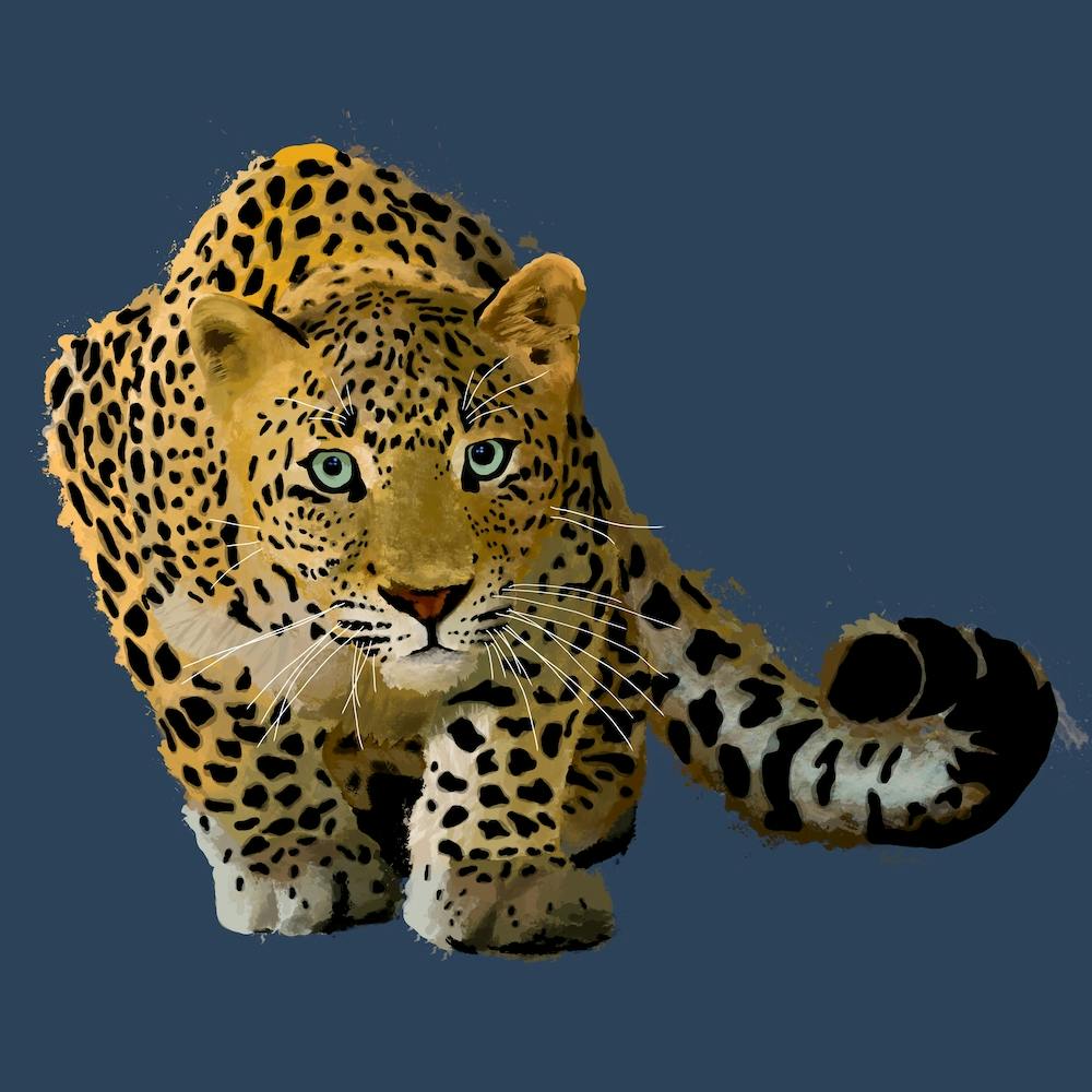 Leopard Stalking Square