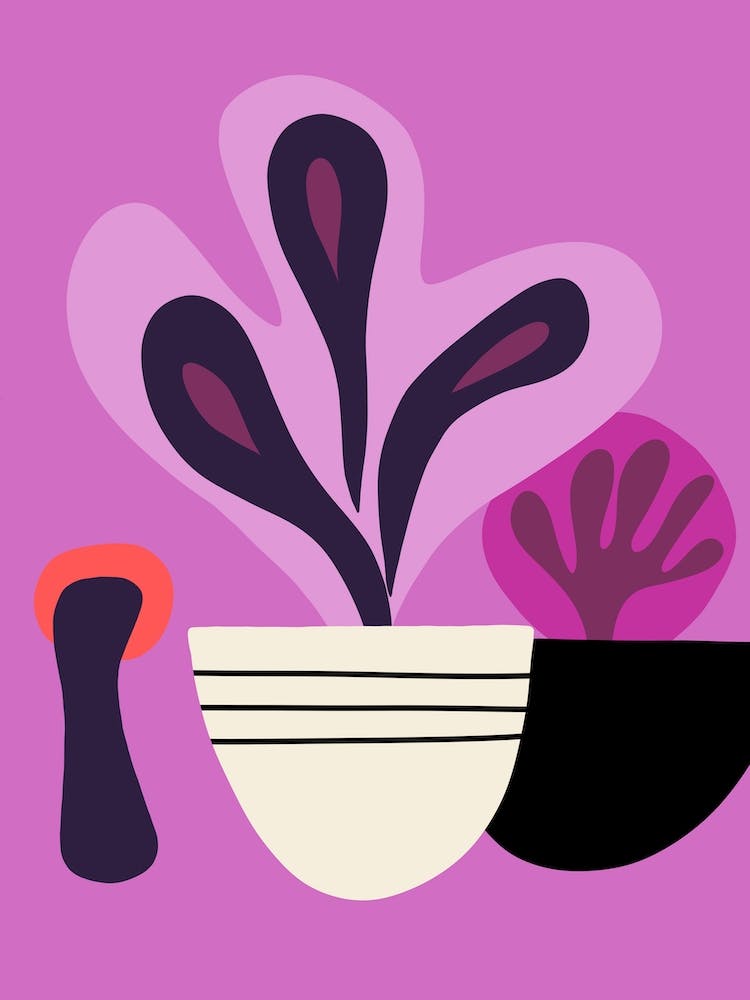 Purple Succulents