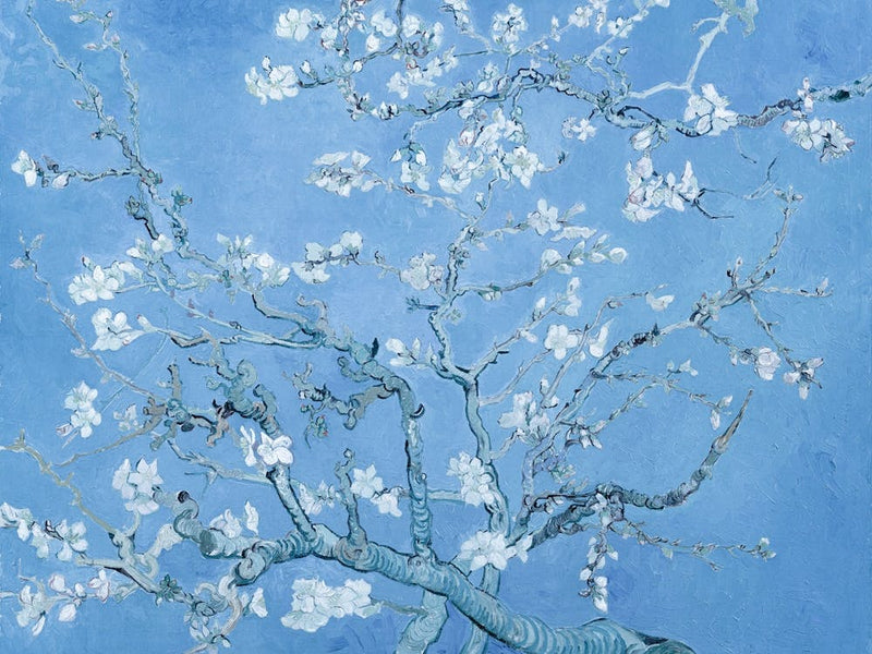 Vincent Van Gogh "Almond Blossom" 1890 en Peinture à l'Huile Texturée HD | Motif Fleurs de Cerisier Bleu Poudré